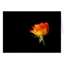 Rose cards by visionaryplaces Rose cards