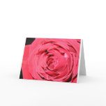 love, rose, heart, valentine, roses, red, pretty,