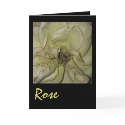 Rose Greeting Cards by SarahJCurtiss
