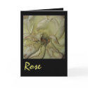 Rose cards