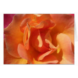 Rose Card