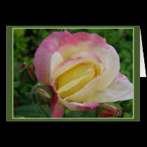 Rose cards