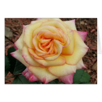 Rose cards