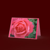 Rose Cards Pink Flowers Custom Greeting Card cards