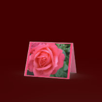 Rose Cards Pink Flowers Custom Greeting Card cards