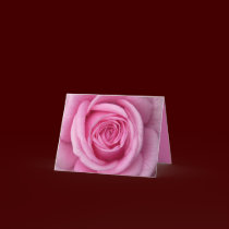 Rose Cards Pink Flowers Custom Greeting Card cards