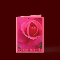 Rose Cards Pink Flowers Custom Greeting Card cards