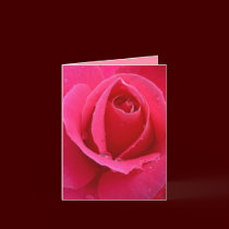 Rose Cards Pink Flowers Custom Greeting Card cards