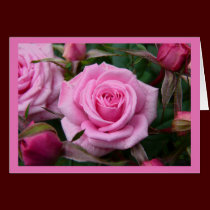 Rose Cards Pink Flowers Custom Greeting Card cards
