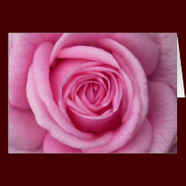 Rose Cards Pink Flowers Custom Greeting Card cards
