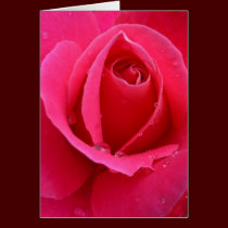 Rose Cards Pink Flowers Custom Greeting Card cards