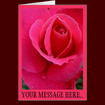 Rose Cards Pink Flowers Custom Greeting Card cards