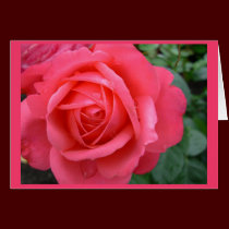 Rose Cards Pink Flowers Custom Greeting Card cards