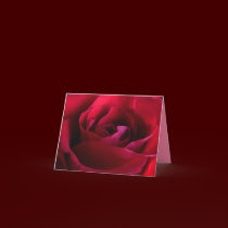 Rose Cards Red Flowers Custom Greeting Card cards