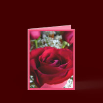 Rose Cards Red Flowers Custom Greeting Card cards