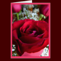 Rose Cards Red Flowers Custom Greeting Card cards