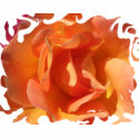 Rose Close Up 2-Sided Kids' Dark Shirts