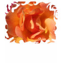 Rose Close Up Women's Shirts