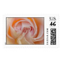 Rose Closeup postage