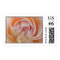 Rose Closeup postage by ZeroToTwenty Rose Closeup postage