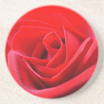 Rose Coasters Red Rose Gifts Keepsake Decor coasters
