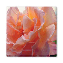 Rose Color Expression Square Magnet by LorrieM Rose Color Expression Square Magnet