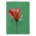 Rose-colored Rose cards by pipedreams Rose-colored Rose cards