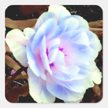 Rose CricketDiane Art, Design & Photography Square Sticker