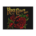 Rose Culture 1887 postcards