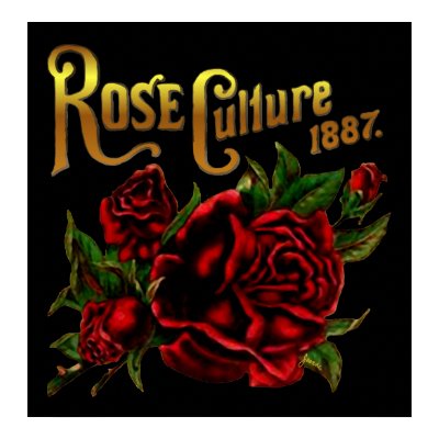 Rose Culture 1887 Print by Jaenne