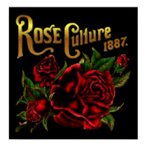 Rose Culture 1887 posters