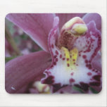 Rose Cymbidium Orchid Mousepad mousepads