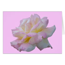 Rose digital drawing cards by manceryder Rose digital drawing cards