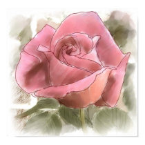 Rose Digital Print