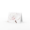 Rose Drawing cards