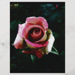 rose drawing flyers