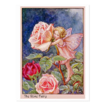 Rose Fairy Post Card