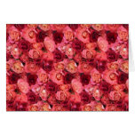ROSE FIELD cards