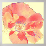 Rose Floral Art Red and Peach Poster Print