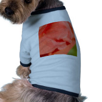 rose  flower pet clothing