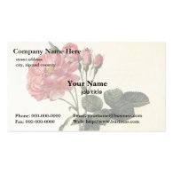 Rose flower, Pierre Joseph Redouté Business Card Templates