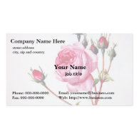 Rose flower, Pierre Joseph Redouté Business Card