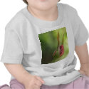 rose  flower t-shirts
