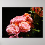 Rose Flowers Bouquet Fine art prints Roses