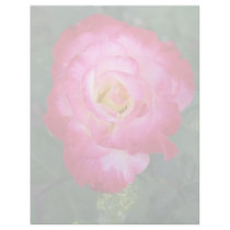 rose flowers letterhead by DonnaGrayson_Photos rose flowers letterhead
