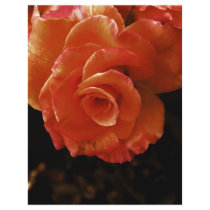 Rose flyers