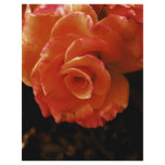 Rose Flyer Design