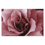 Rose Flyer