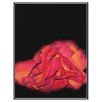Rose flyers