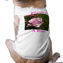 "Rose Fresh" pet clothing